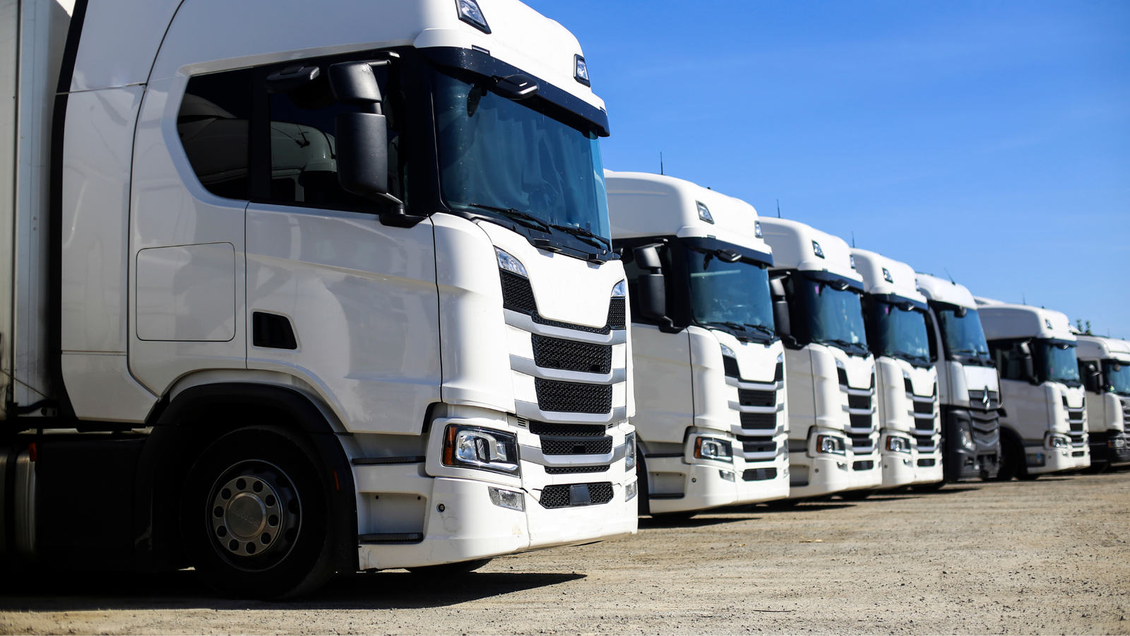 FP TRANSPORT LLC fleet